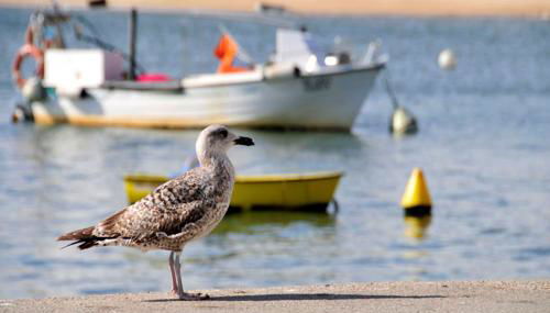 Villa Serenidade 3 Bedrooms Tennis Court Countryside Location - Foto 4, Other