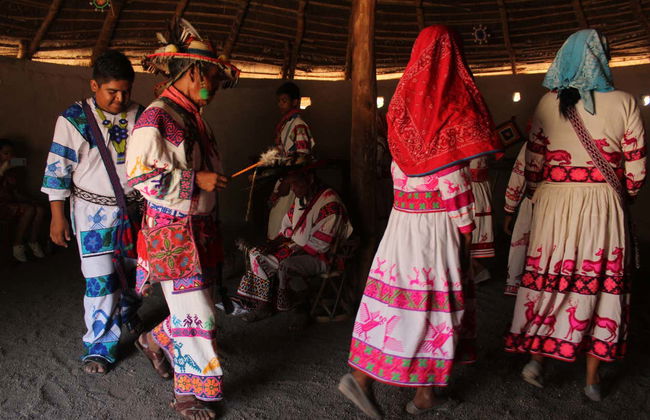 Visite à la découverte de la culture huichol - Photo 8