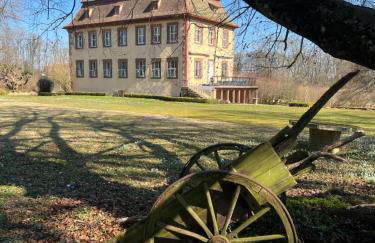 Private apartment in historic castle from 1608 with tenniscourt - Foto 24