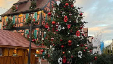 Le charme d'Alsace - Foto 3