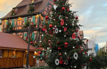 Le charme d'Alsace - Foto 3