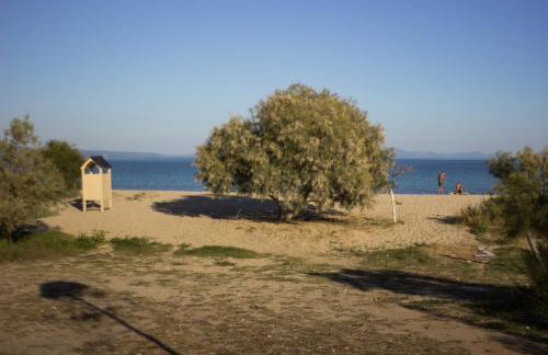 Villa close to the beach - Foto 17