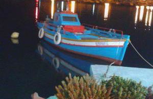 Studios Cosmopolitan - Photo 36