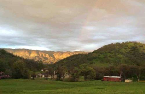 Waxberry Getaway Sequoia/Kings Canyon National Pks - Foto 77