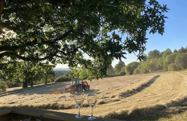 Outstandingly Situated Cosy Shepherds Hut - Photo 30