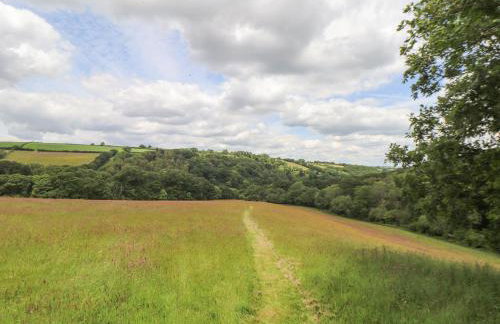 Skiber Coombe - Photo 31