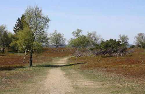 Ferienwohnung Zum Heideblick - Photo 32