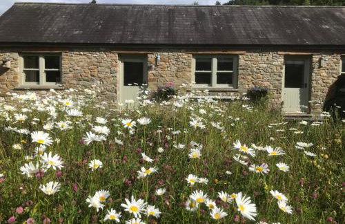 Danygraig Cottage - Foto 21