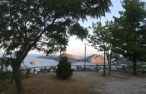 Πέτρα, Ελιά και Λεβάντα - Foto 65