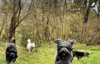 Ferienhaus Chalet an der Brettach - Foto 35