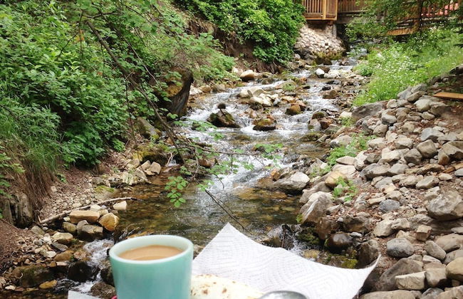 Cottage on the Stream - Photo 25