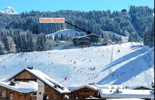 Studio ski aux pieds vue superbe sur les pistes - Foto 17