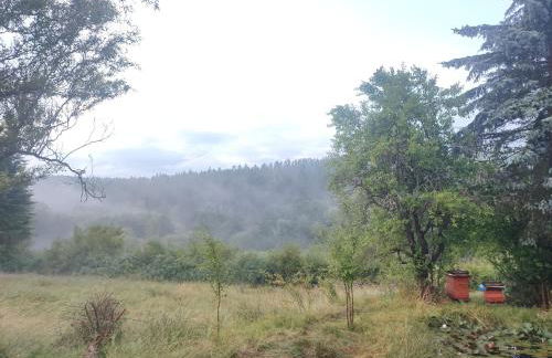 Haus "Grimberg" FeWo 1-stock oder FeWo 2-stock & Zusätzliches Zimmer - Photo 50