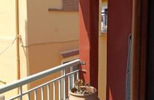 Lais Apartment in the old square of Liapades - Foto 17