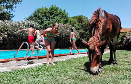 Agriturismo Il Bottaccino - Foto 18