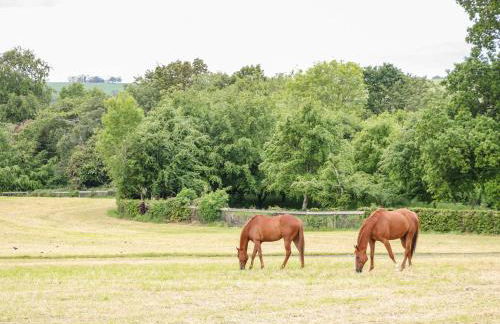 Scarvagh House - Foto 40