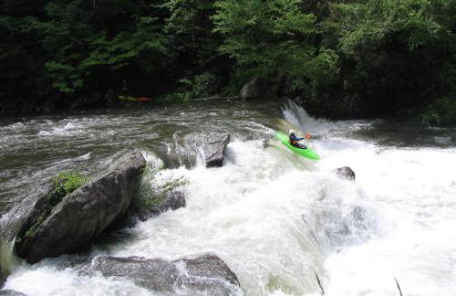 The Owl's Perch - Foto 28