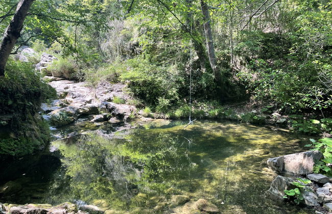 3 bedroom Apartment in Prelà with garden and terrace - Photo 18