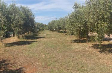 Villa Absolute privacy - Photo 22