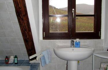 Plein Sud vue sur les Vosges et le vignoble - Foto 24