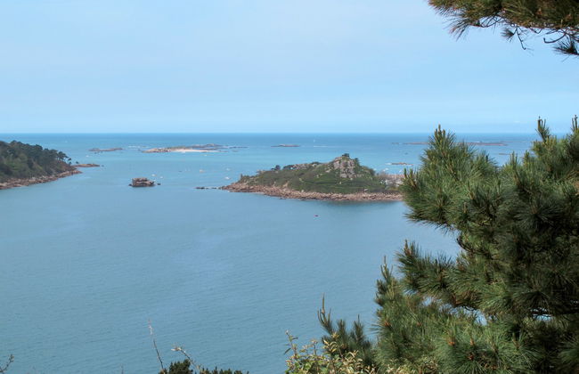 Les Hortensias - Photo 28