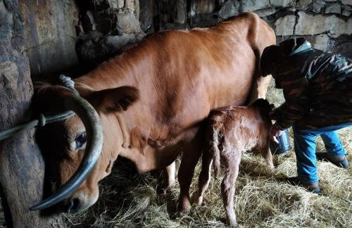 Aldeia de Moura Morta - Foto 21