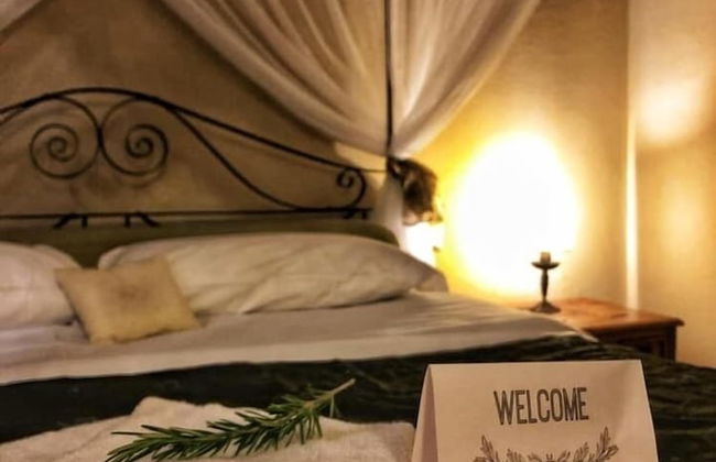 Il Vicario - Photo 9