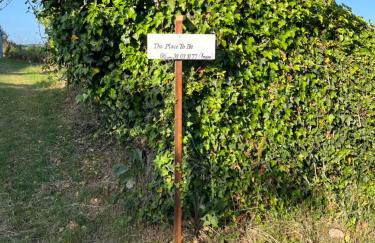 The Place to Be - Foto 25