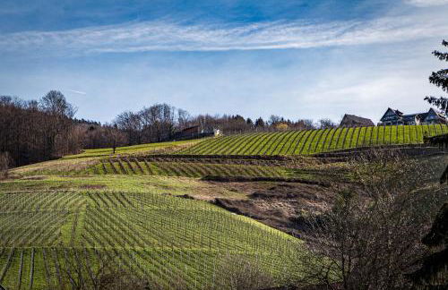 living TIMELESS - Adler Apartments Sasbachwalden - Foto 70