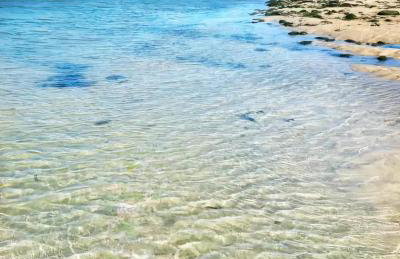 Anvil The Old Smithey - Foto 25