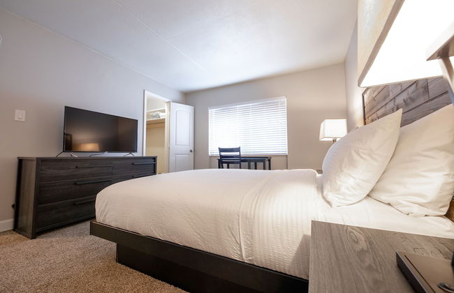 Stay Avenida Westshore - Photo 24