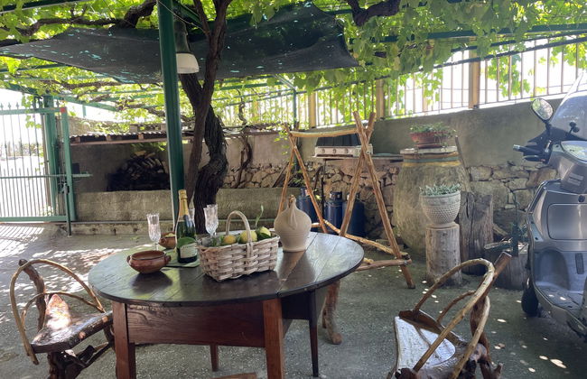 Casa del Pernambuco (PTL205) - Foto 9