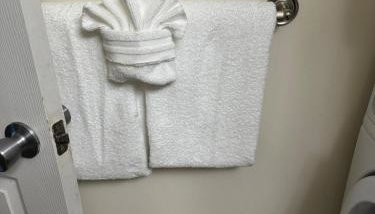 Pet-Friendly SW Home, 13 Mins to Mizzou - Foto 5