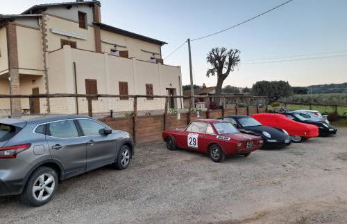 Agriturismo IL VECCHIO OLIVO - Foto 43