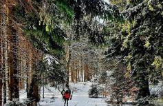 Domek pod Ostoją Góry Sowie - Foto 18