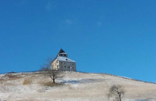 Chalet Morin - Photo 55