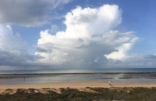 La BALEINE BLEUE - Foto 15