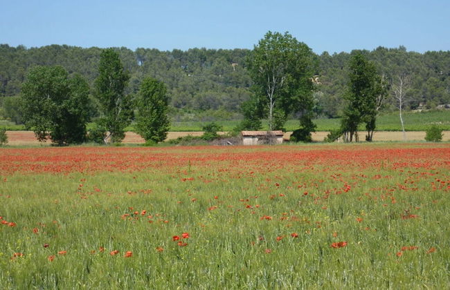 Villa des Cigales - Foto 14
