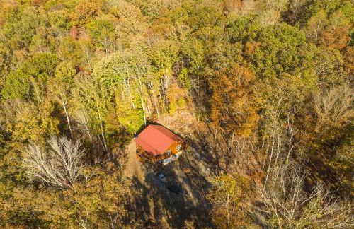 Eagles Nest Cabin with TN River Views - Foto 56