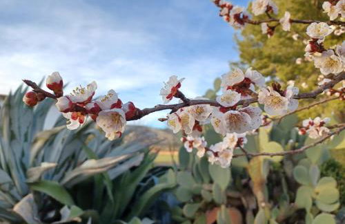 Casa del Riu - Foto 44