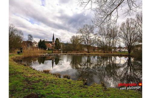 apartment Haus Renate Palatinate Forest - Foto 17