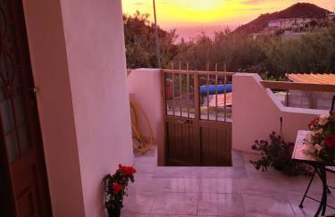 Nebida da Maria - Foto 24