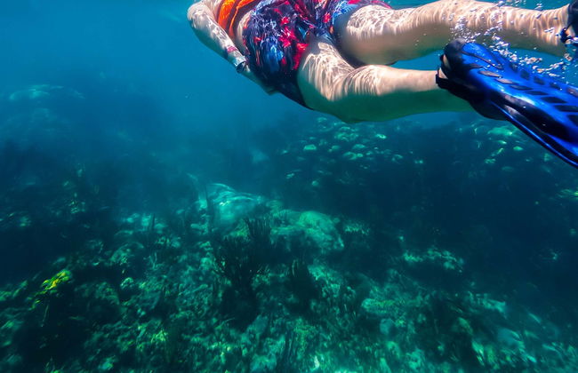 Xcalak Snorkeling Tour - Foto 1