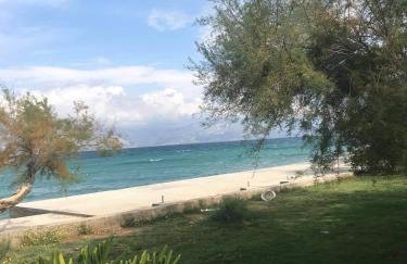 Originally Apartments Sonya - Foto 42