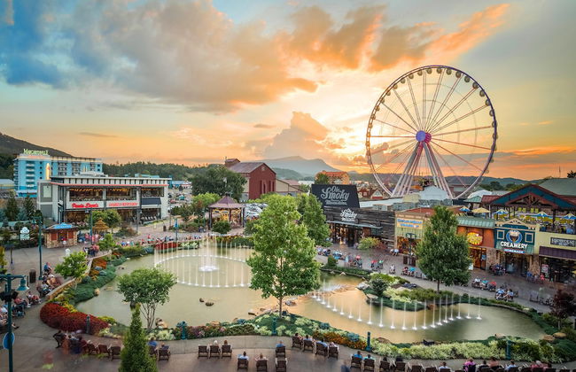 A Majestic View III - Photo 33