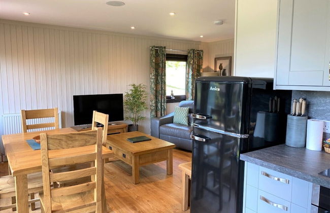 Birch Lodge 21 With Hot Tub, Newton Stewart - Photo 13