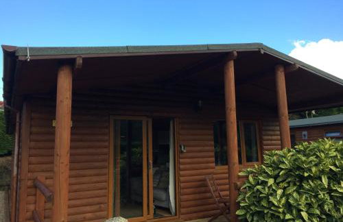 East Crinnis Log Cabin - Photo 13