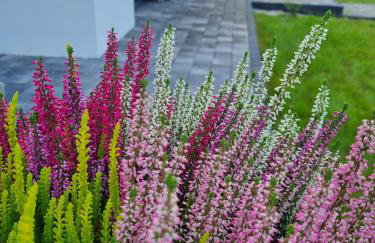 W Małym Sadzie - Foto 14