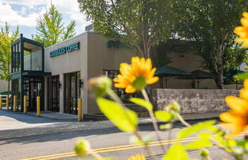 2mins DTPatioParking50 Roku TV400 Mbps - Foto 19