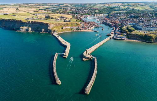 Rambling Rose - Foto 23